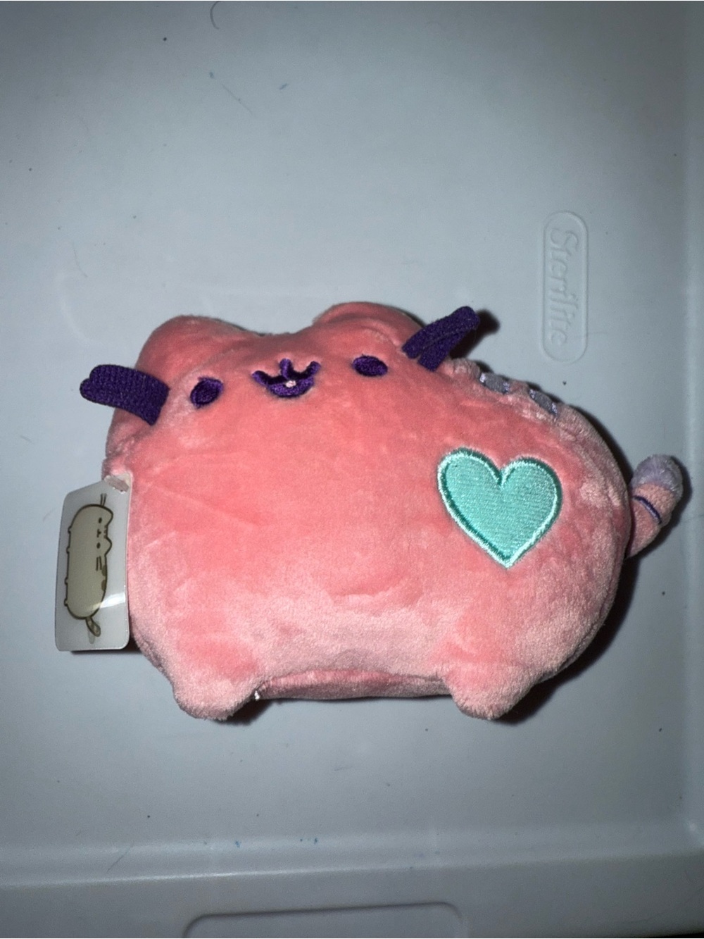 Pusheen